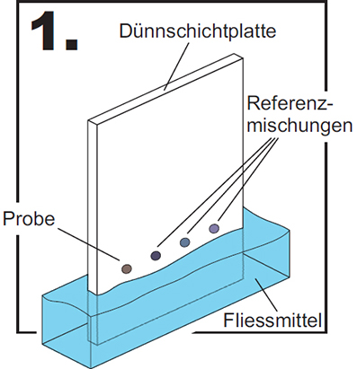 ds-chromo1