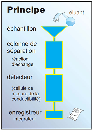 Chromatographie ionique