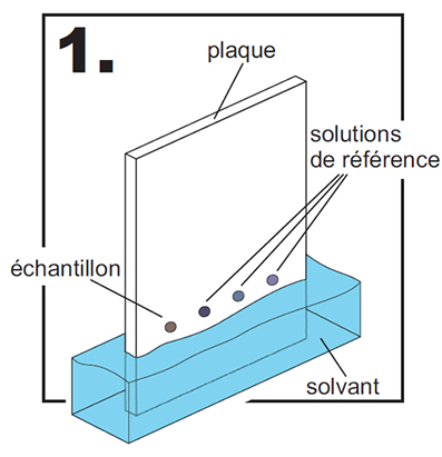 DS-Chromatographie_1