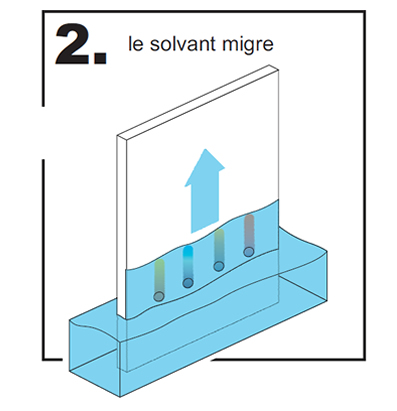 DS-Chromatographie_2