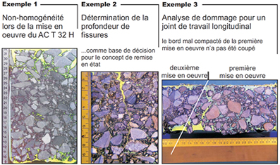 Evaluation morphologique