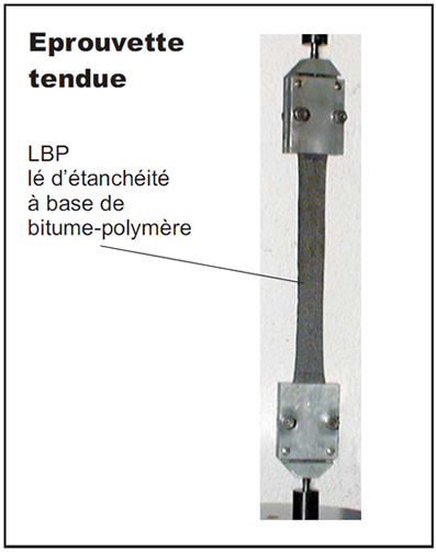 Force de rupture