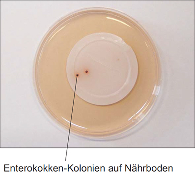 Bakteriologie2