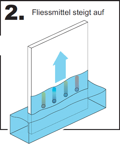 ds-chromo2