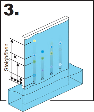 ds-chromo3